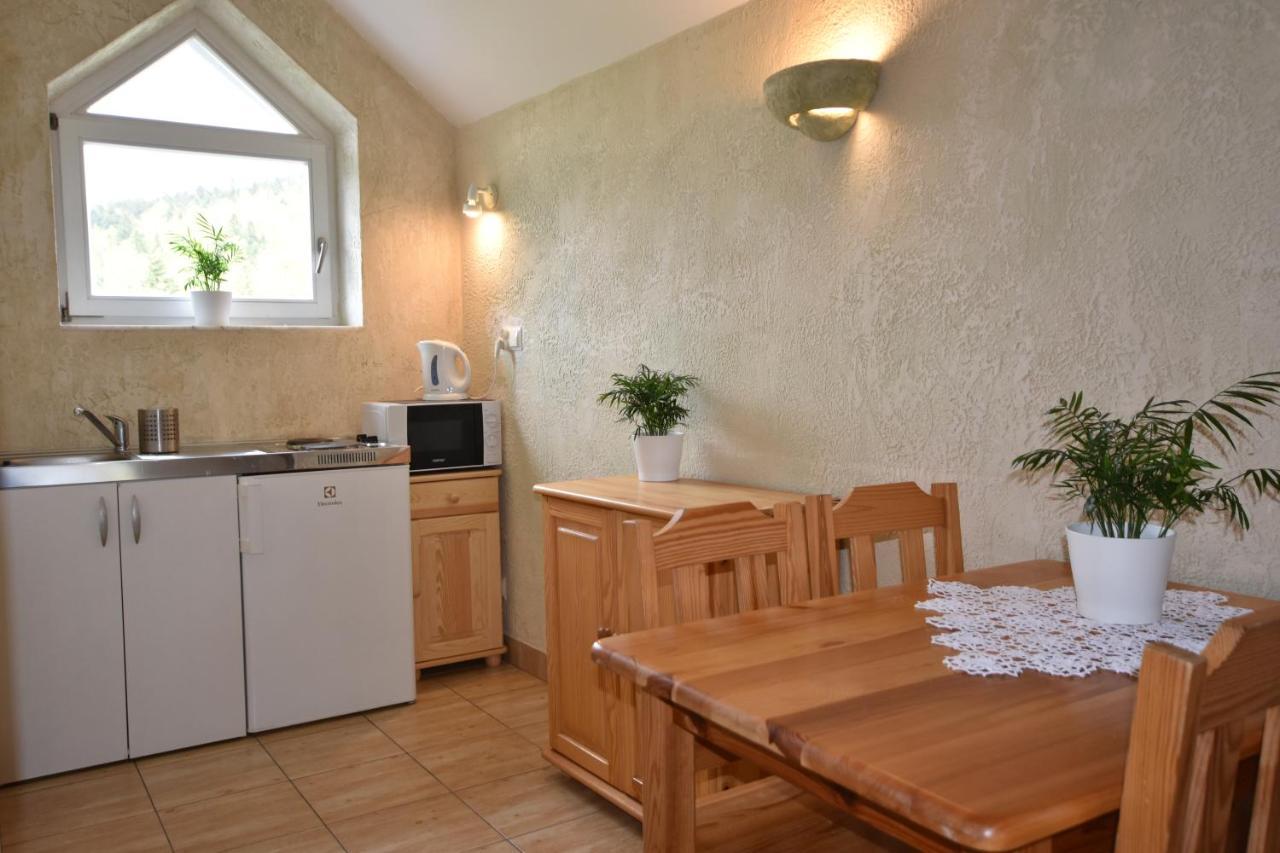 Apartamenty Czyrna Przy Gondoli Szczyrk Buitenkant foto